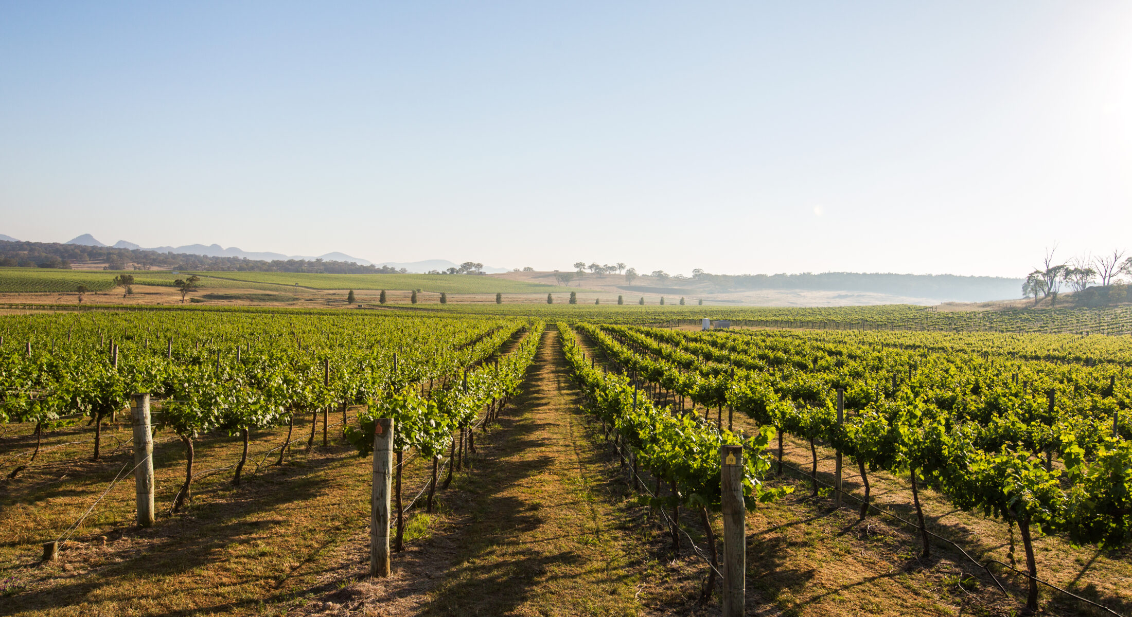 De Beaurepaire Accor Plus Wine Dinner